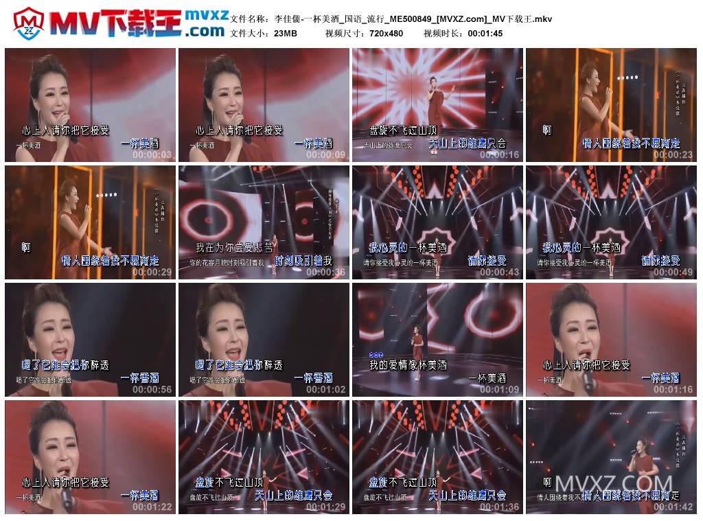 李佳儒-一杯美酒_国语_流行_ME500849